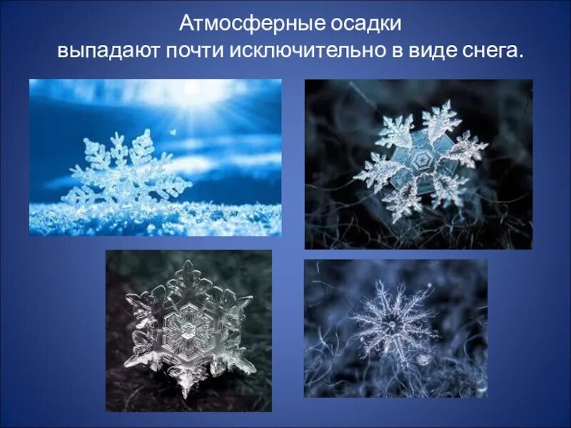 Атмосферные осадки снег. Осадки в виде снега. Виды осадков. Атмосферные осадки выпадают в виде.