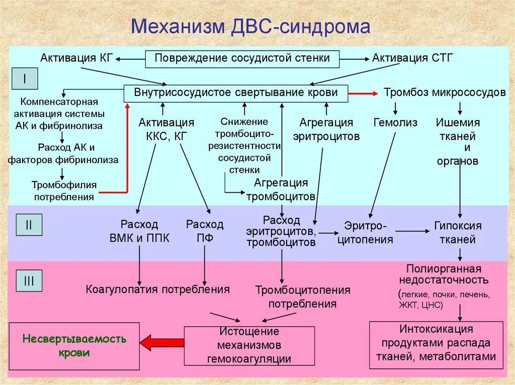 Развития двс синдрома. Клинические симптомы ДВС синдрома. Синдром диссеминированного внутрисосудистого свертывания этиология. ДВС синдром механизм развития. Синдром диссеминированного внутрисосудистого свертывания крови.