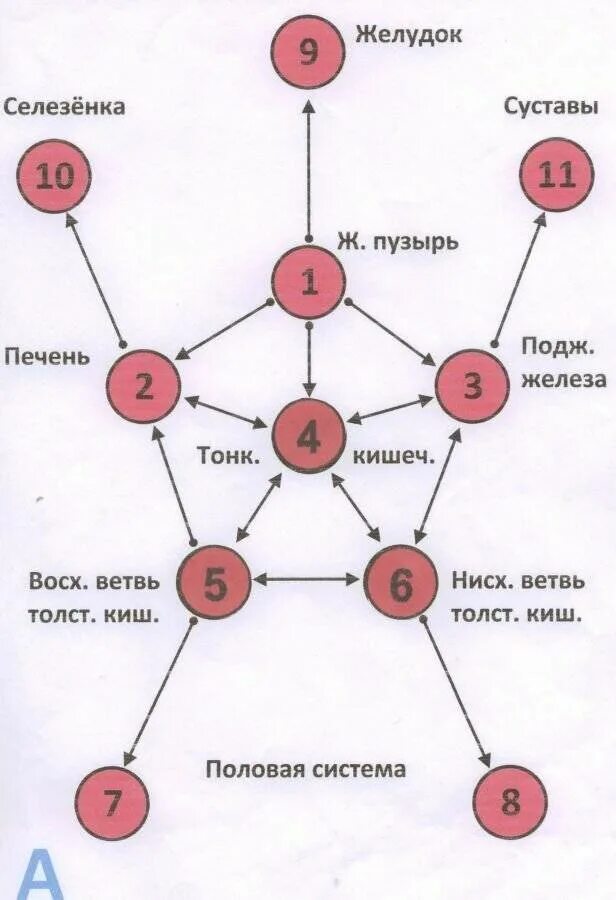 Огулов методы огулова