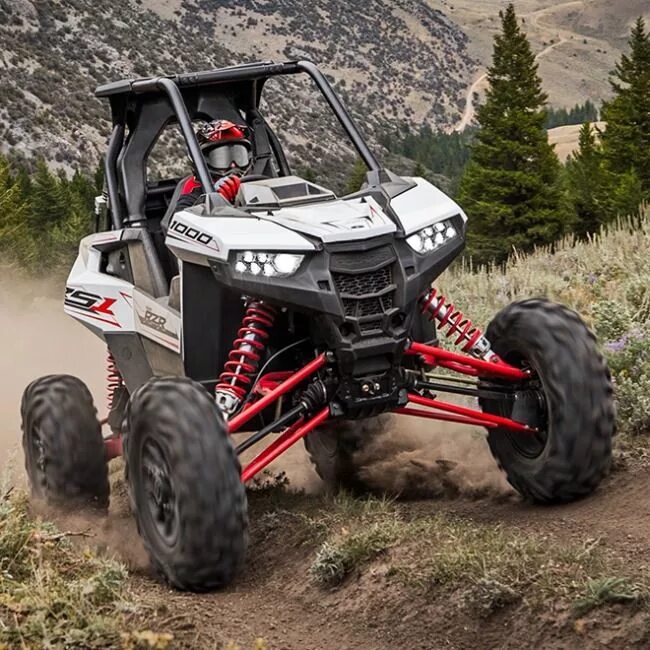 Багги поларис. Багги одноместный Polaris. Поларис РЗР. Polaris Buggy 2006. Polaris Buggy 2005.