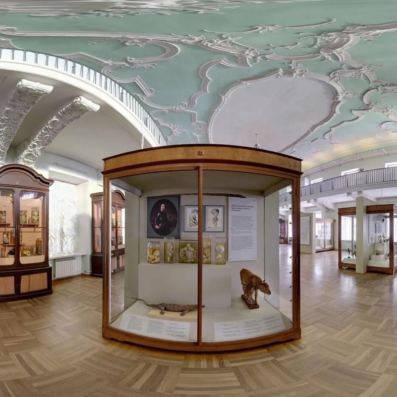 Музей антропологии и этнографии имени петра великого. Музей в питере кунсткамера. Музей кунсткамера в санкт-петербурге. Кунсткамера петровская экспозиция. Кунсткамера санкт-петербург зал востока.