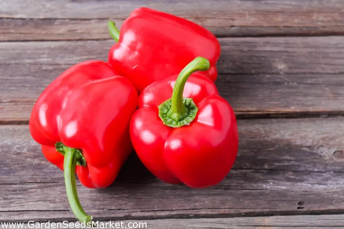 Sweet pepper. Перец Capsicum annuum. Сорт перца Capsicum annuum. Перец сладкий паприка. Паприка перец красный сладкий.