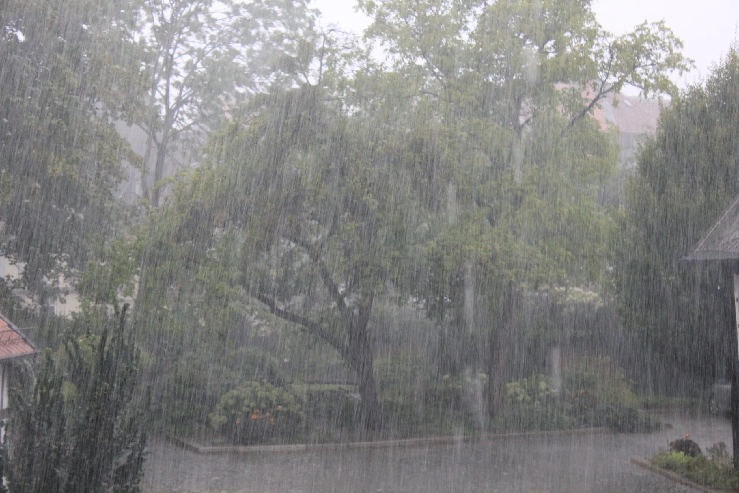 Pour Rain. Pouring with Rain. Pouring Rain in Amazon. Pouring down погода.