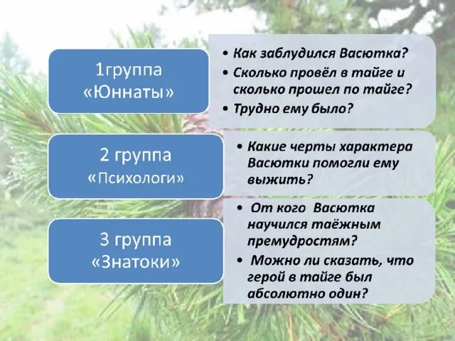 Зачем васютка отправился в тайгу из рассказа. Васютка заблудился в тайге. Черты характера Васютки. Как заблудился Васютка. Черты характера Васютки из рассказа.