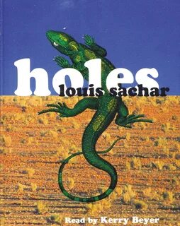 Holes book