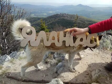 Уральский барс