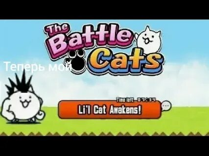 Awakened cat
