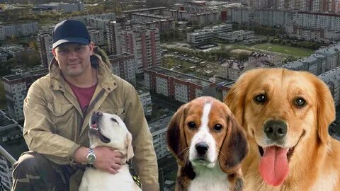 Собака сергея