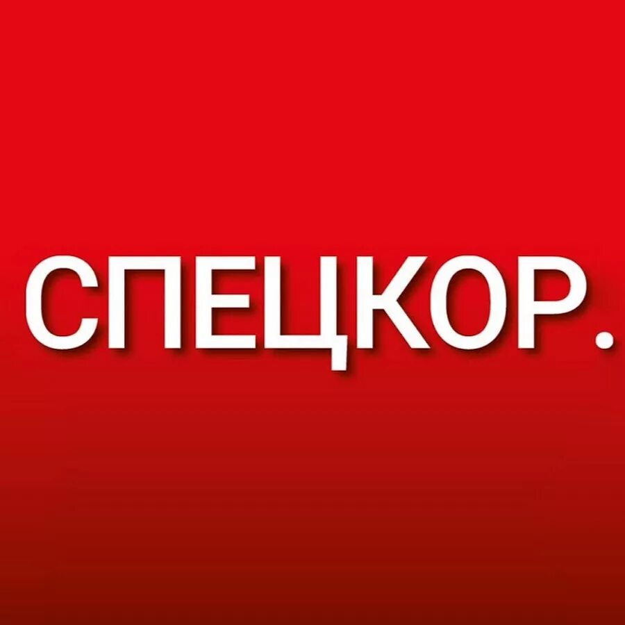 От каких слов образования слово зверолов. Специальный корреспондент. Специальный корреспондент. Специальный корреспондент анонс. Слово спецкор.