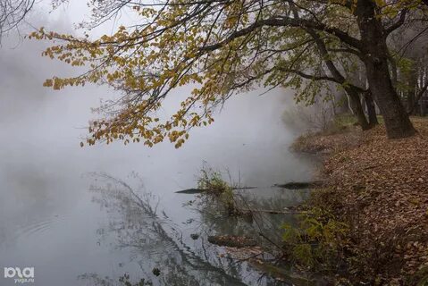 Осень кубань