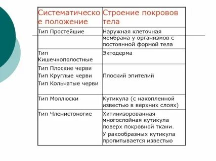 Интересные факты о покровах тела животных