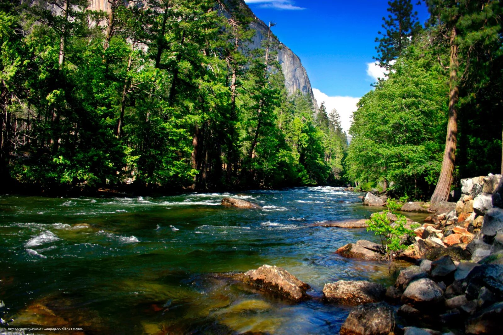 Красивый лес с рекой. Йосемити национальный парк 1920х1200. Озеро Рица. Горы лес Горная река. Горные реки Кавказа.