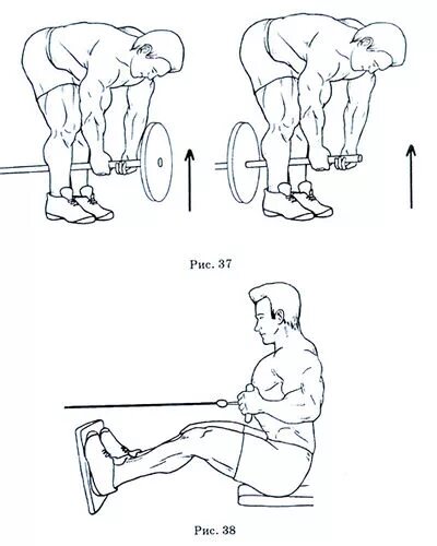 Как накачать широчайшие мышцы спины. Тренировка крыла. Упражнения для накачки спины. Упражнения со штангой для широчайших мышц. Упражнения на спину.