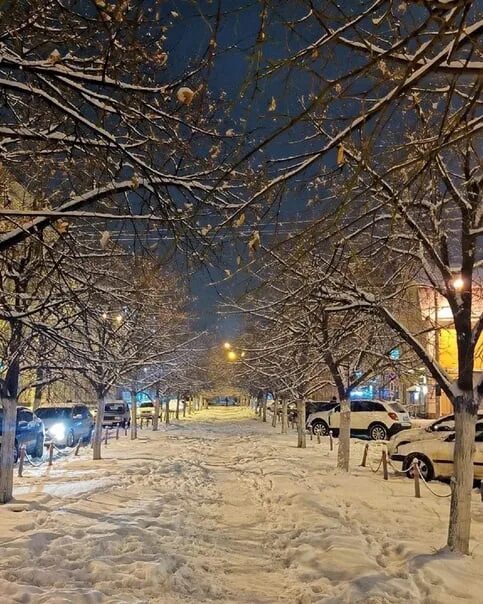 Зимой в городе было 36. Зима в городе. Зимний Воронеж. Воронеж зимой. Ночной Воронеж зимой.