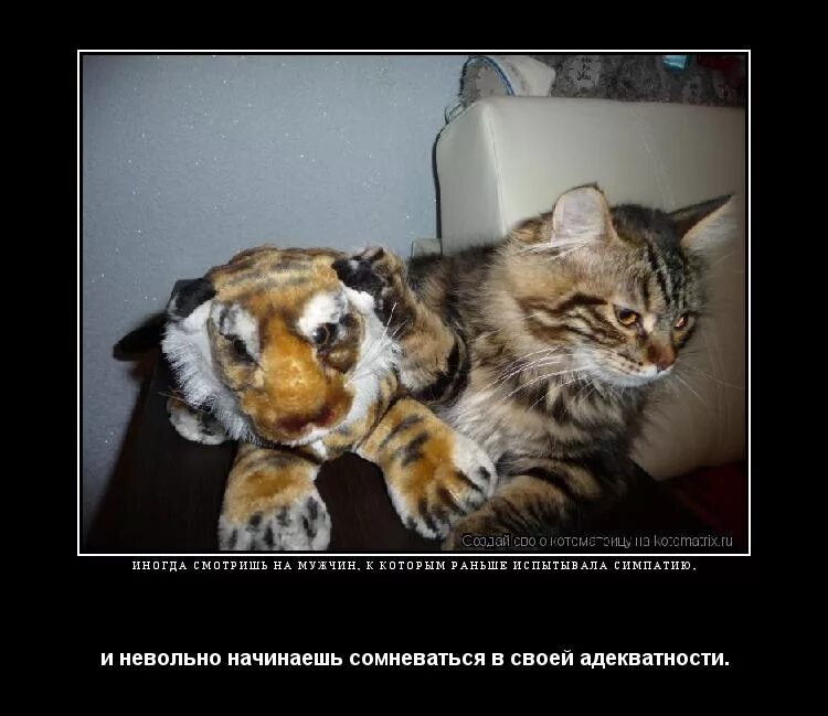 Бывший иногда смотрит на меня. Адекватность приколы. иногда смотришь на мужчин к которым раньше испытывала симпатию. адекватность прикольные картинки. адекватность юмор.