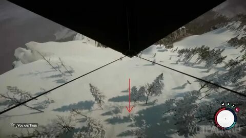 The forest дельтаплан