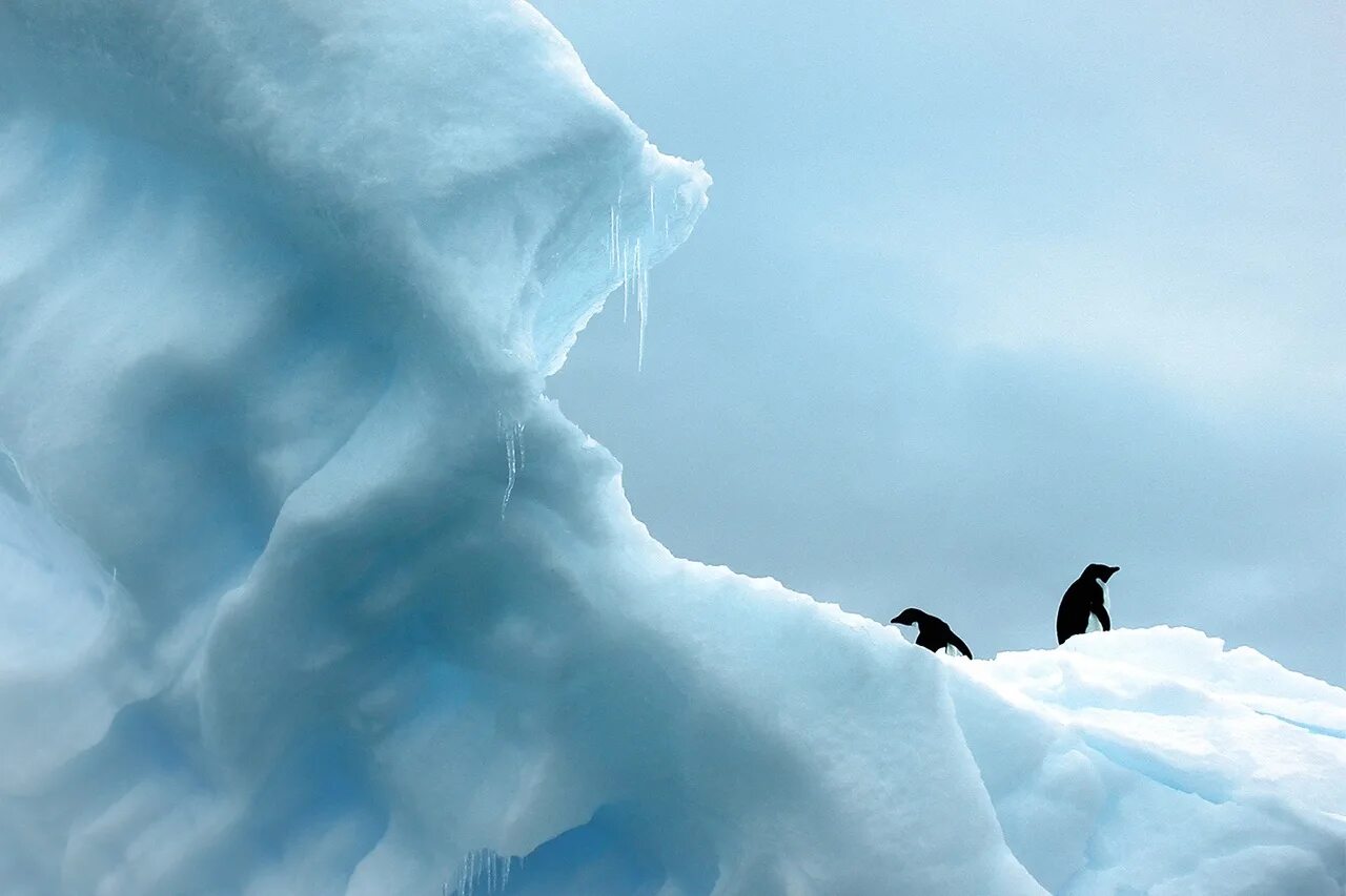 Скажи зачем мне облака лед 3. Айсберг а 76. Таяние ледников. Ветер в Антарктиде. Таяние ледников фото.