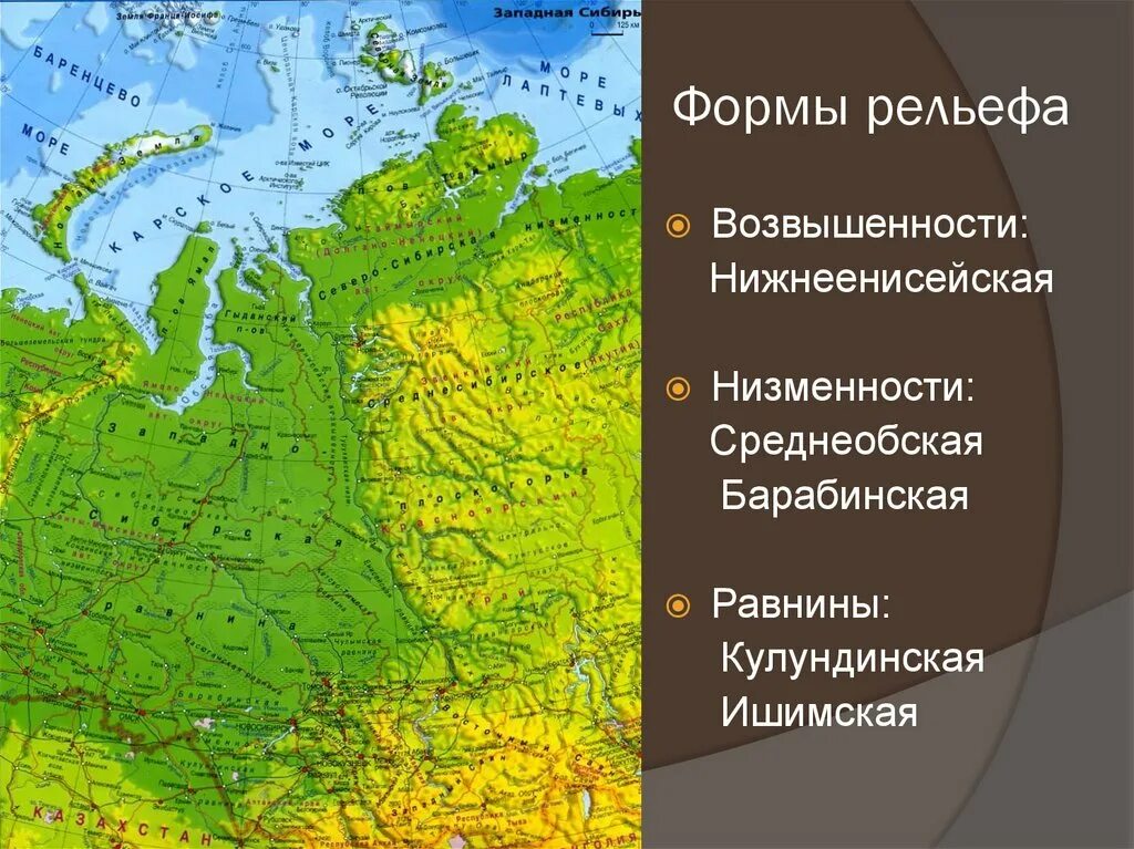 Восточно сибирская равнина высота. Формы рельефа Западно сибирской равнины на карте. Формы рельефа Западной Сибири низменности. Западно Сибирская низменность на карте. Западно Сибирская низменность форма рельефа.