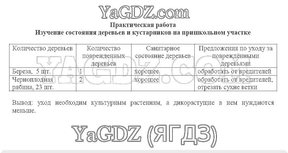 Стр 94 биология 5 класс ответы. Гдз по биологии 5 класс Живая природа. Биология Сухова Строганов 5 класс ИП. Гдз по биологии 5 класс практическая работа. Биология 5 класс рабочая тетрадь Сухова Строганов распечатать.