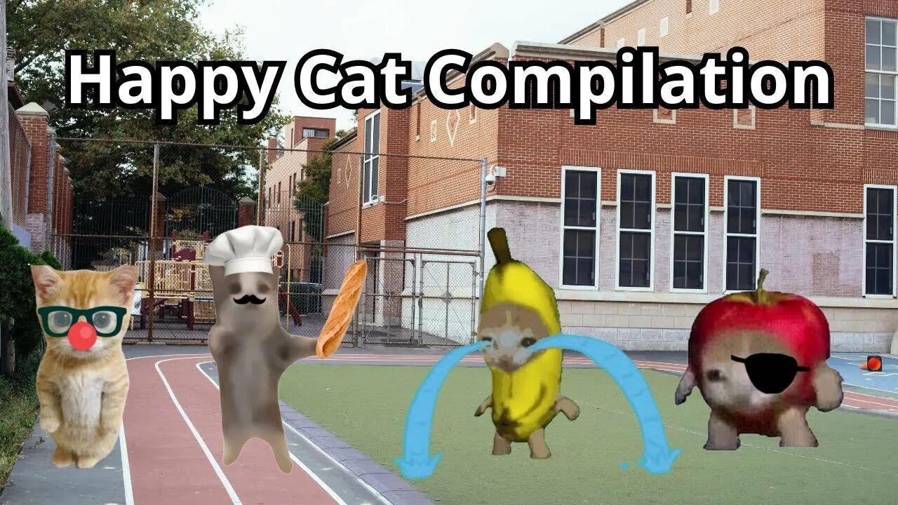 Happy Cat everytime more bits - YouTube