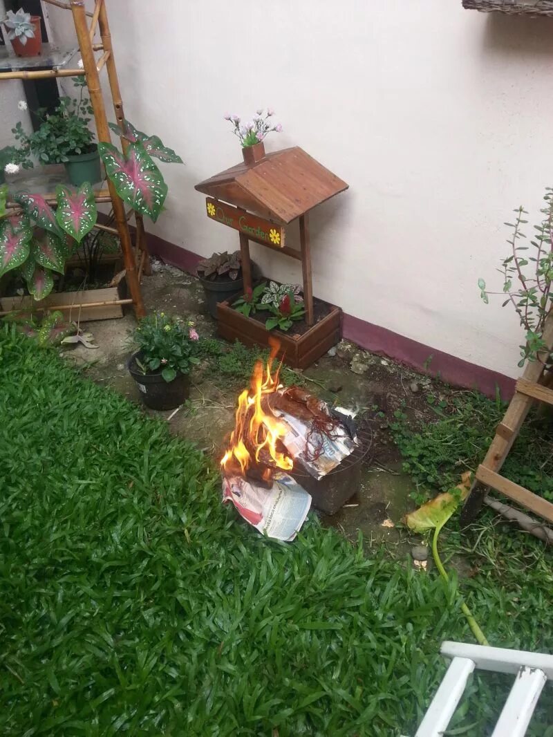 неожиданно находил дома