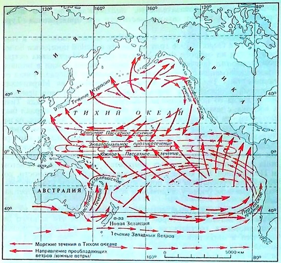 Направление океанических течений. Схема поверхностных течений Тихого океана. Карта ветров и течений Тихого океана. Морские течения Австралии 7 класс. Мировые течения в океане и ветры на карты.