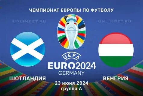 Чемпионат шотландии 2024 2025