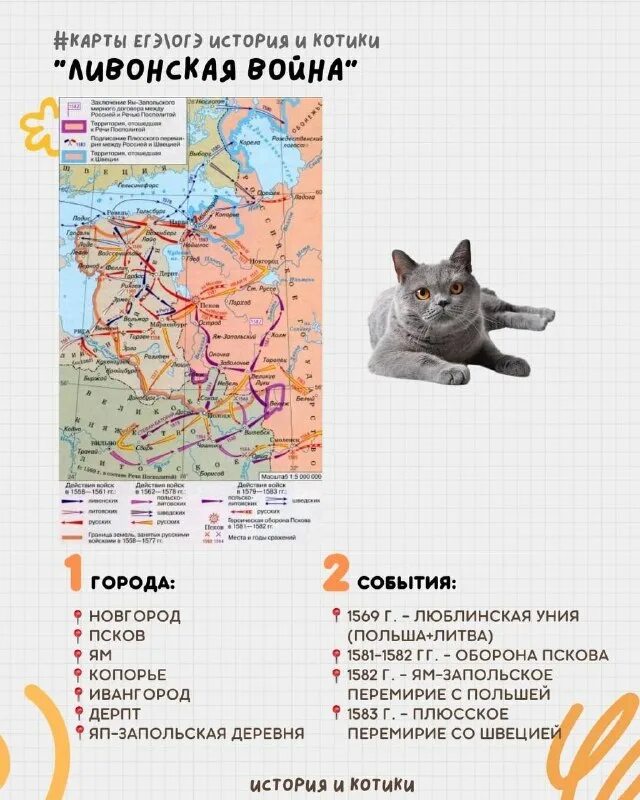 история котиков егэ