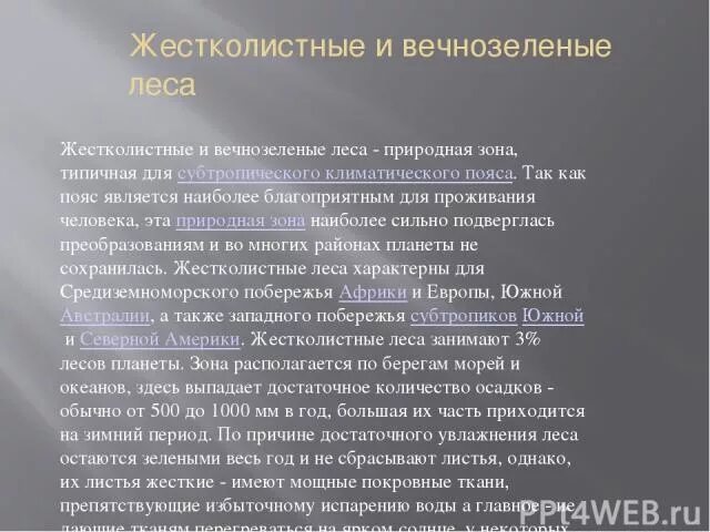 Жестколиственные вечнозеленые леса географическое положение. Особенности жестколистных вечнозеленых лесов. Климат пояс жестколистные вечнозелёные леса и кустарники. Жестколистные вечнозеленые леса природная зона. Климатический пояс жестколистных лесов