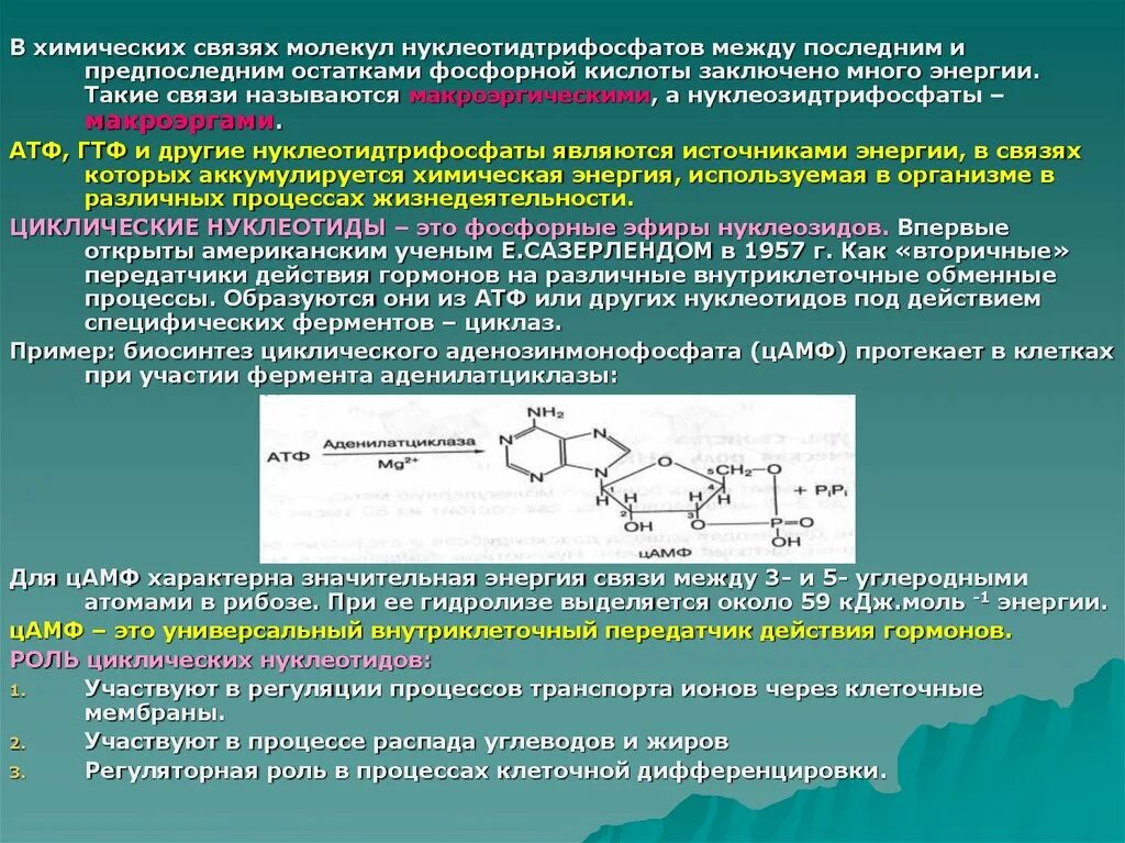 Химические связи атф