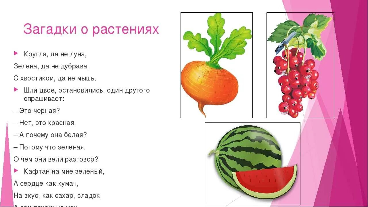 Составить загадку 1 класс литературное чтение. Загадки. Загадки про растения. Загадки для детей. Загадки про растения для детей.