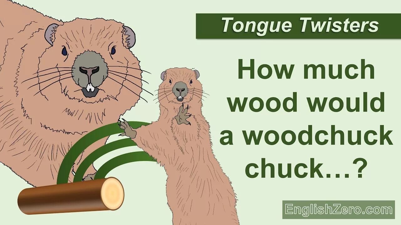How much Wood would a Woodchuck Chuck скороговорка. How much Wood would a Woodchuck Chuck if a Woodchuck could Chuck Wood. Скороговорка how much Wood would. If a Woodchuck could Chuck Wood скороговорка how. Скороговорка про бобров