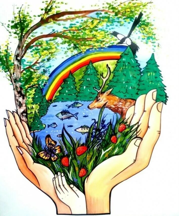 Бережное отношение к наследию. Рисунок на экологическую тему. Берегите природу. Экологический плакат. Рисунки по защите природы для детей.