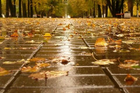 Во субботу день ненастный