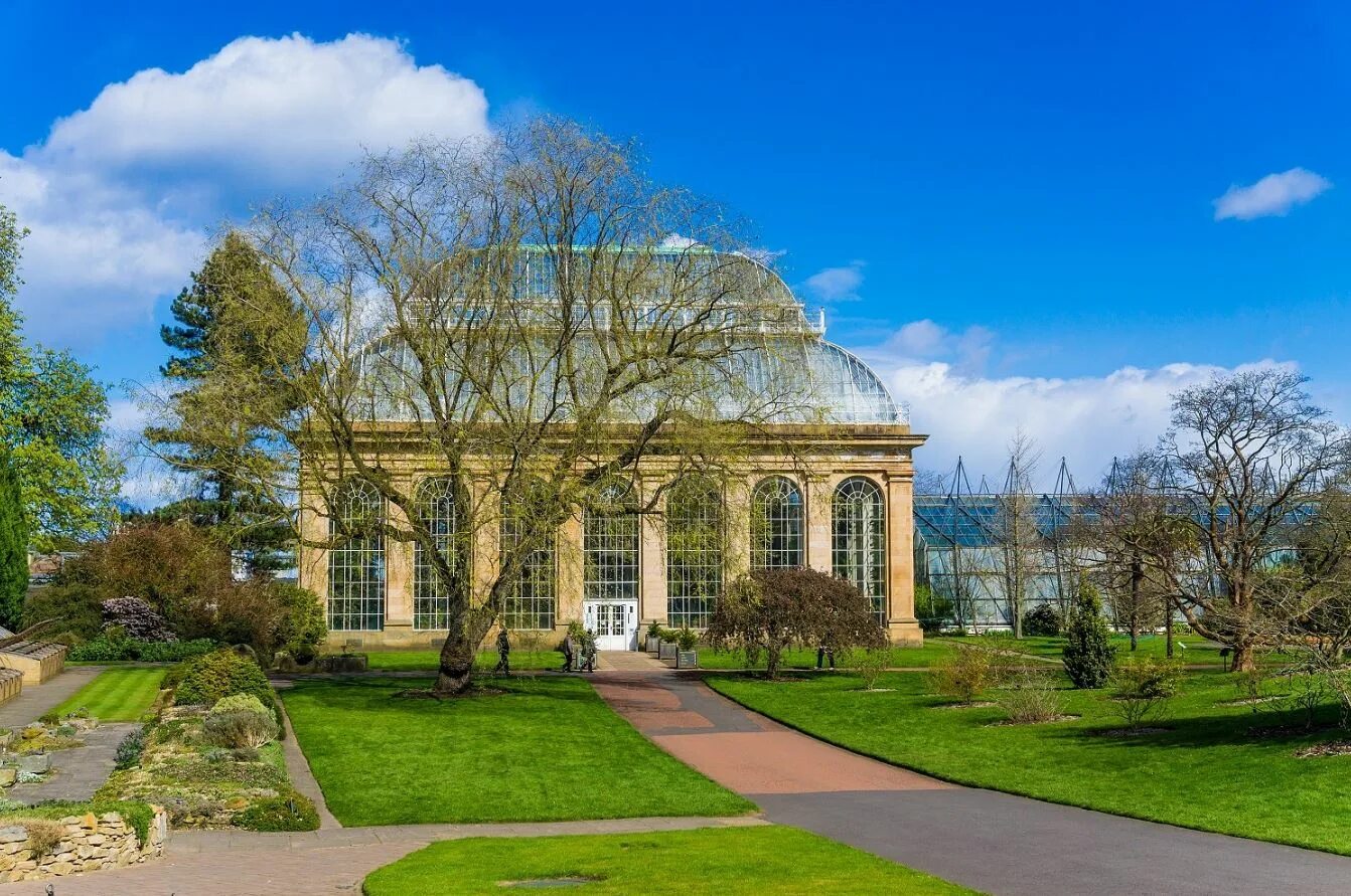 Королевские ботанические сады кью. Королевский сад эдинбурга. Эдинбург) шотландия. Королевский ботанический сад эдинбурга пальмовая оранжерея. Королевский ботанический сад эдинбурга эдинбург.