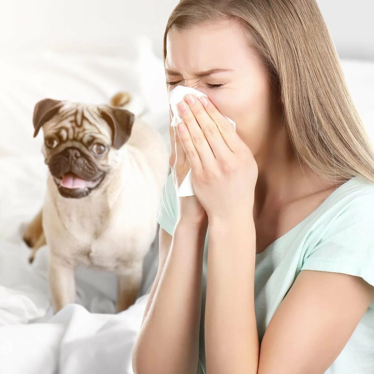 Без аллерген. Аллергия на шерсть домашних животных.