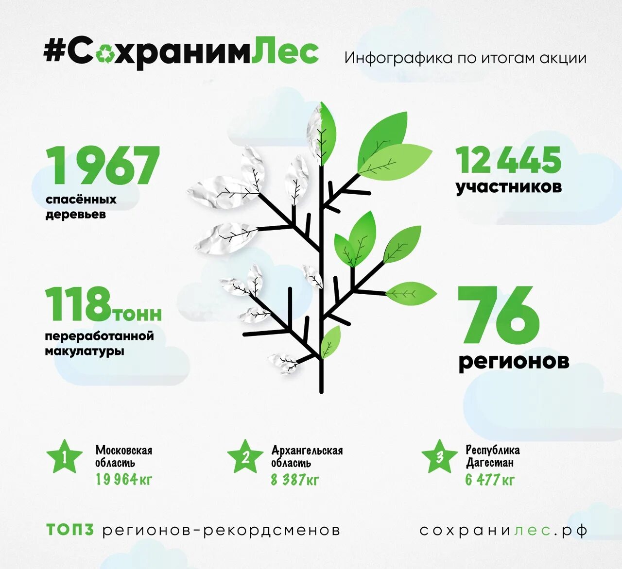 Сколько деревьев в москве. Макулатура инфографика. Инфографика по сбору вторсырья. Сбор макулатуры инфографика. Инфографика леса.