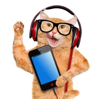 Смартфон в очках