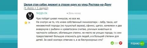 Неделю переписывались