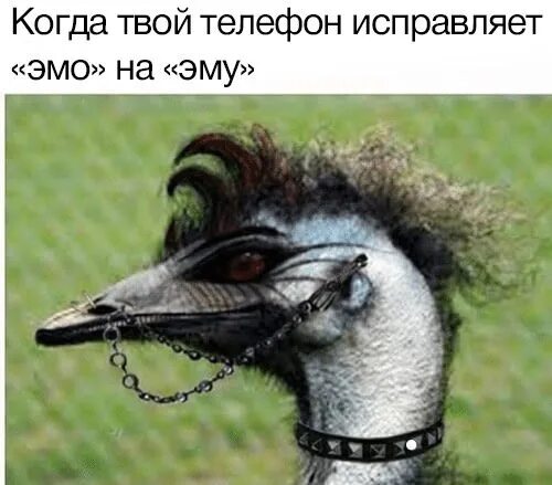 It s not a phase