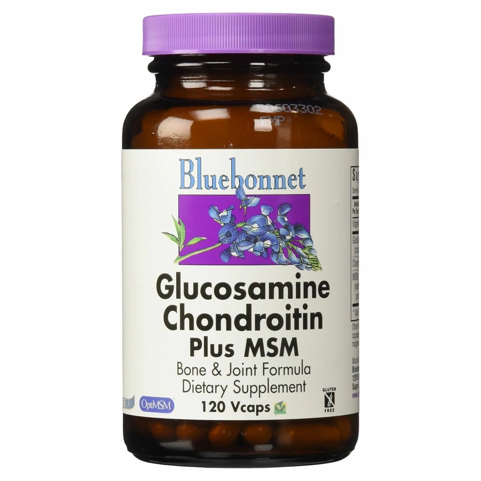 Glucosamine Chondroitin Plus MSM. Глюкозамин-хондроитин МСМ веган. Glucosamine Chondroitin MSM для собак. Хондроитин глюкозамин МСМ сабельник.
