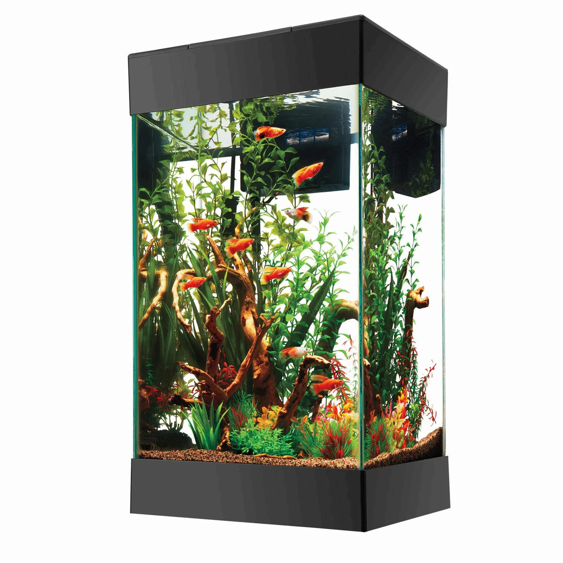 Аквариум aquarium. Аквариум (Fish Tank) 2009. Аквариум daquarium 5л (17x17x17). Аквариум a010530. Аквариум Fish Tank.