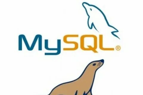Mariadb server