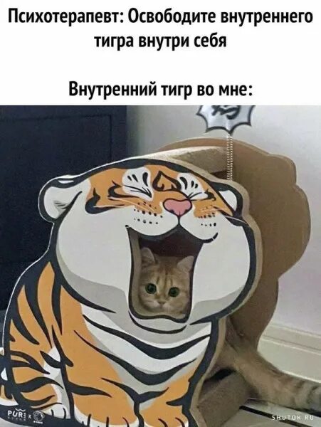 Девочка с тигром мем Аааа, L(aughing) O(ut) L(oud), все самое смешное здесь, часть 2 Страница 1626