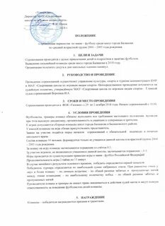 Положение спортивных соревнований это