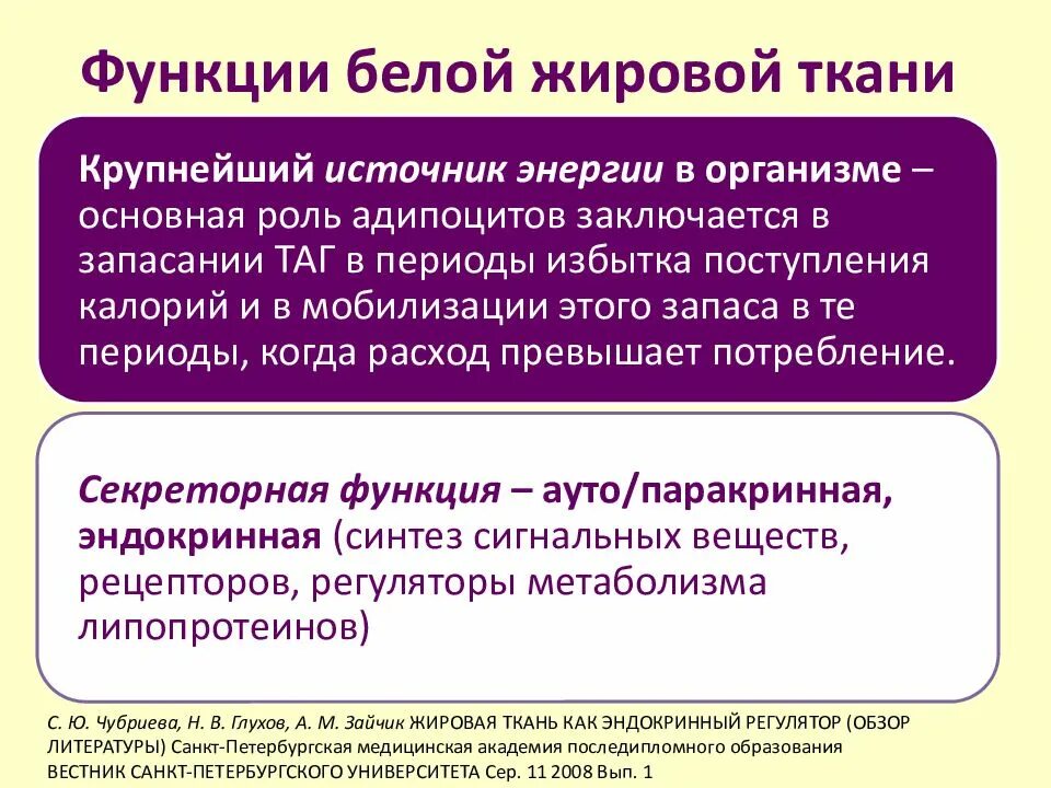 Жировая ткань функции. Функции жировой ткани в организме. белая жировая функции. функции белого жира. эндокринная функция белой жировой ткани.
