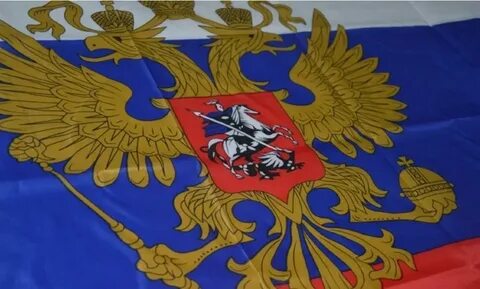 На каком флаге изображена птица