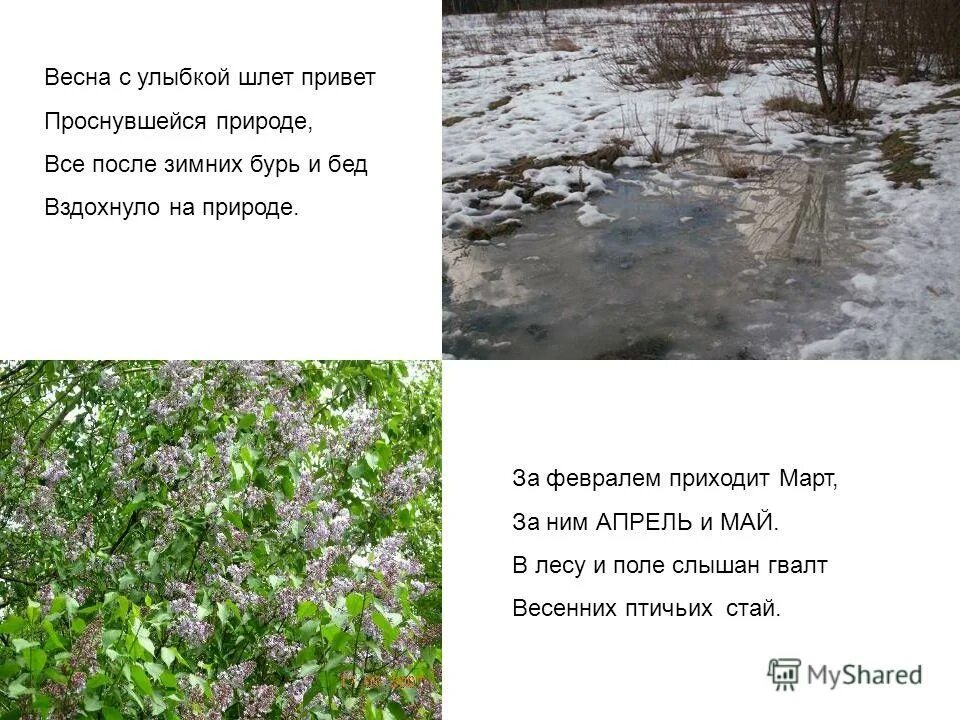 Стих про природу весной. Стих про весну. Маленький стих про весну. Стихотворение о весне. Стихотворение про Пробуждение природы.