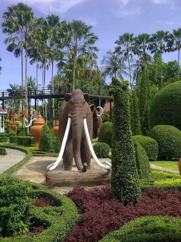 Тропический сад Нонг Нуч. Тайланд парк тропический парк Нонг Нуч Таиланд. Нонг Нуч сад кактусов. Паттайя кактусы Нонг Нуч.