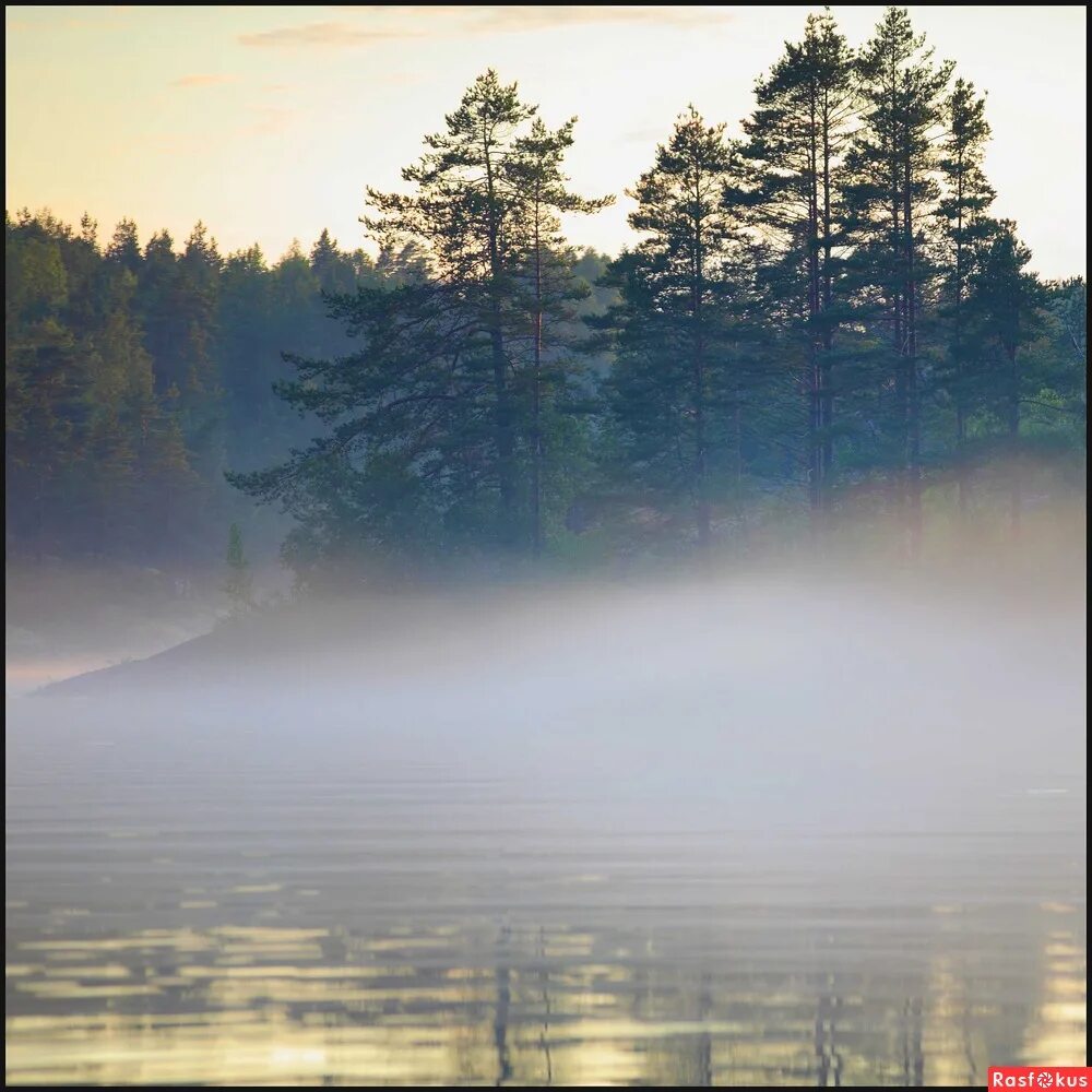 три тумана карелия